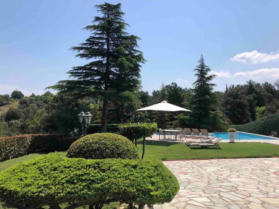 Villa Casa Chrissy Plagiarion Екстер'єр фото